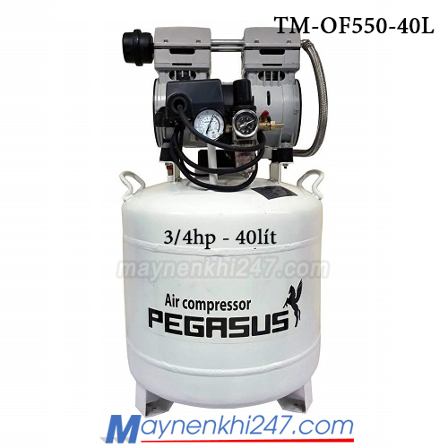 Máy nén khí không dầu pegasus 0.75HP, 110L, 220V, 8bar  TM-OF550- 40L