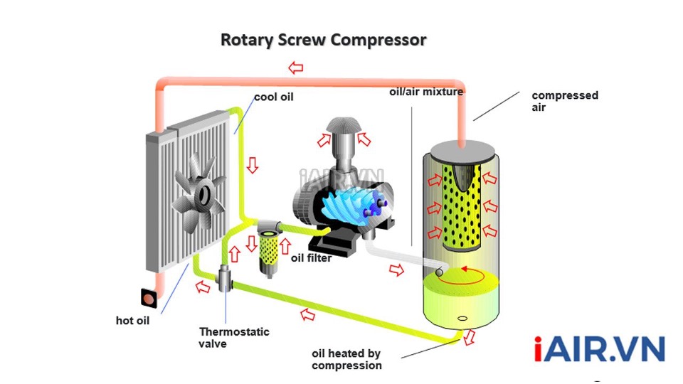 Nguyên lý hoạt động máy nén khí không dầu trục vít