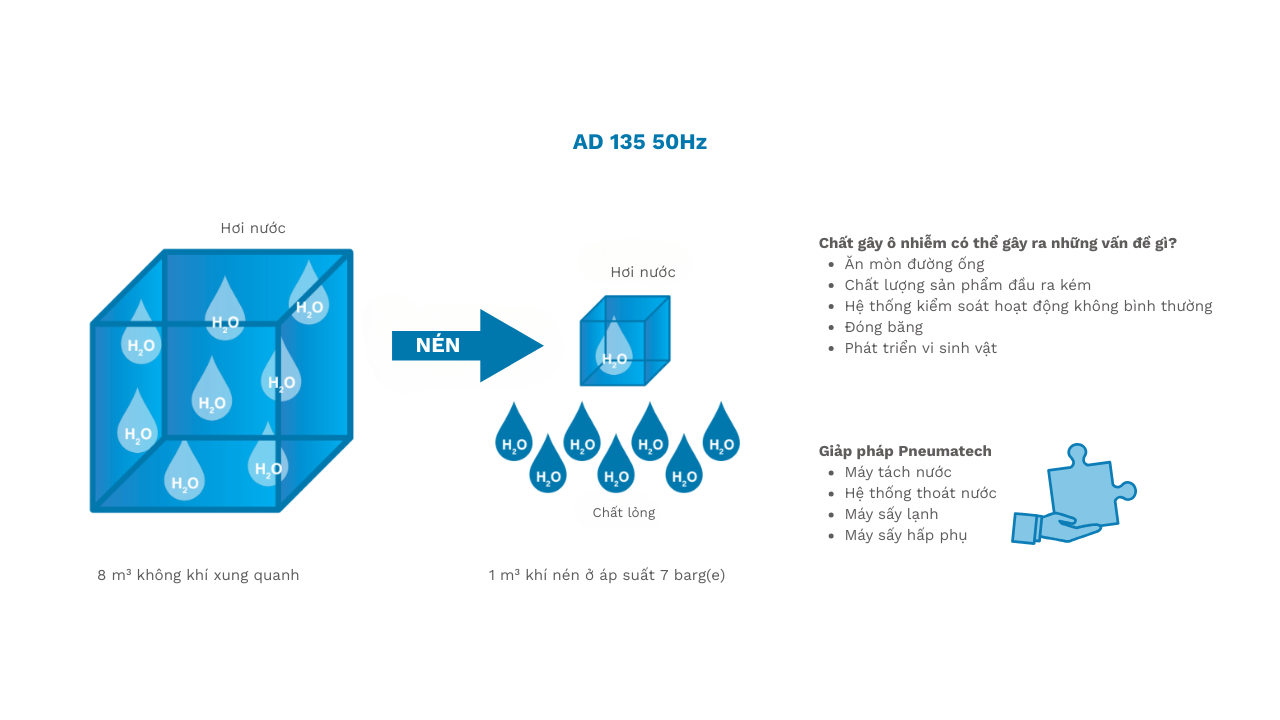 Máy sấy khí Pneumatech AD 135 – 50Hz