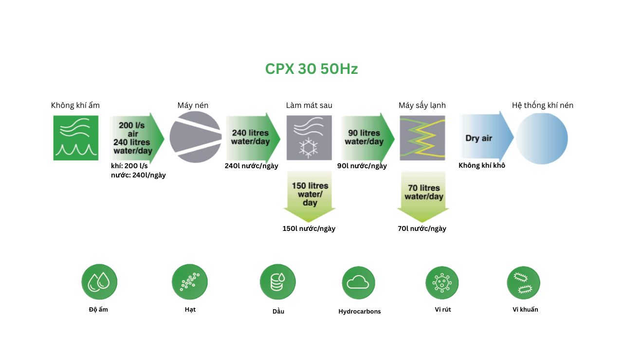 Máy sấy khí Chicago CPX 30 – 50Hz