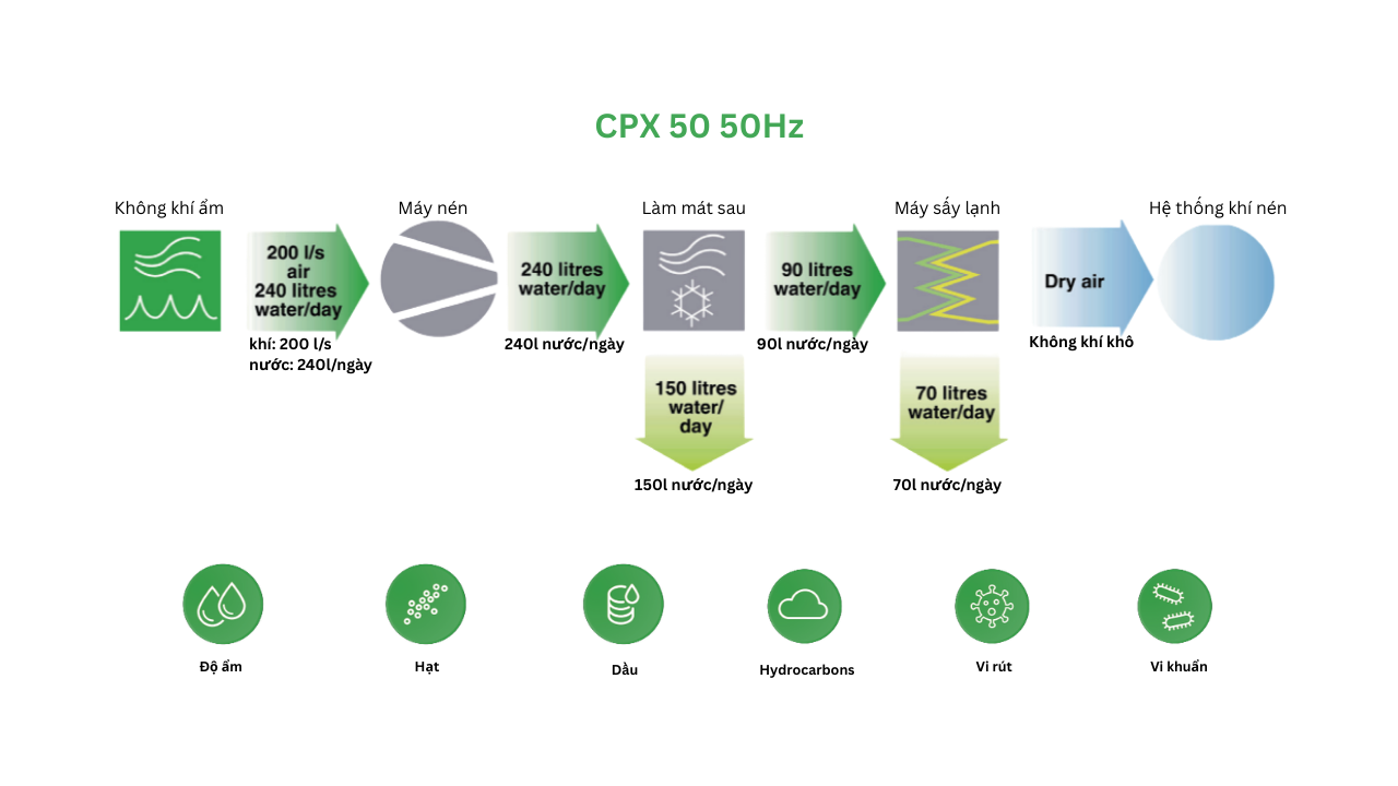 Máy sấy khí Chicago CPX 50 – 50Hz