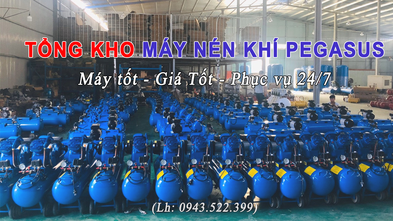 kho-may-nen-khi-pegasus